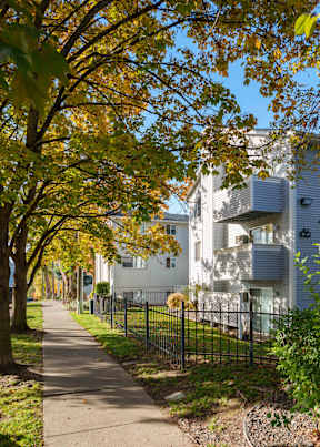 A tree with yellow leaves is in front of a white building. at Ironwood Apartments, Coeur dAlene