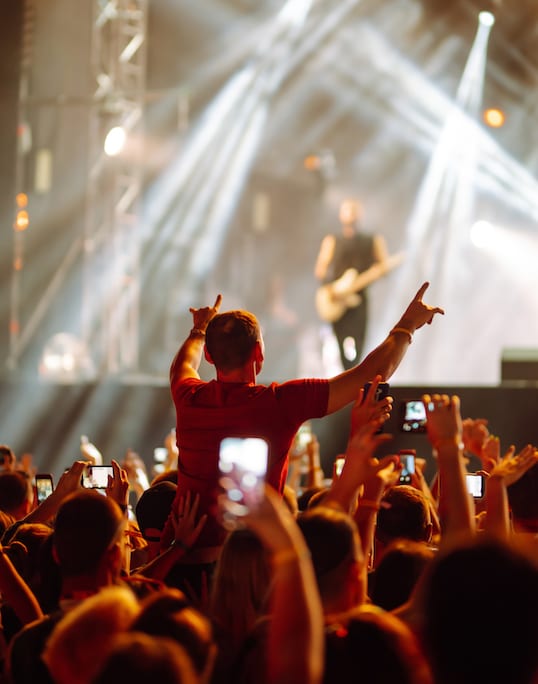 A DJ is performing in front of a crowd at a concert.