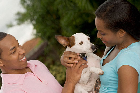 Stock image Residents