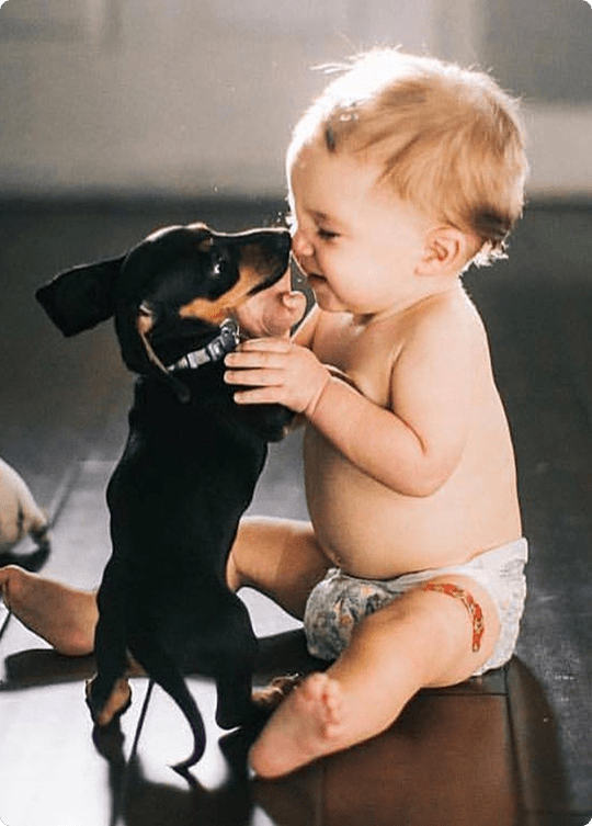 a baby in a diaper kissing a black and white dog