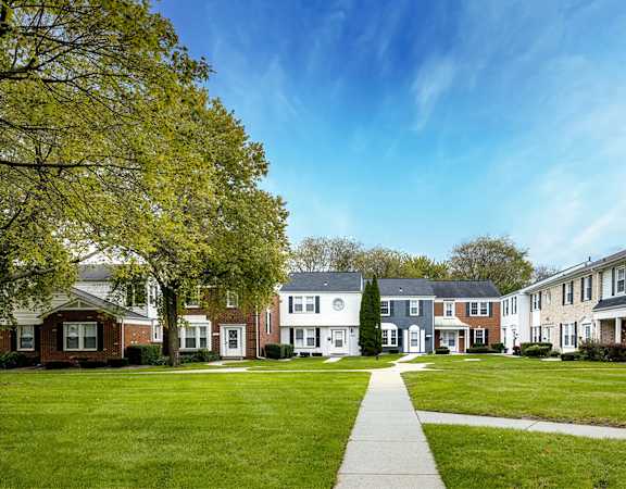 A row of houses with a tree in front of them.