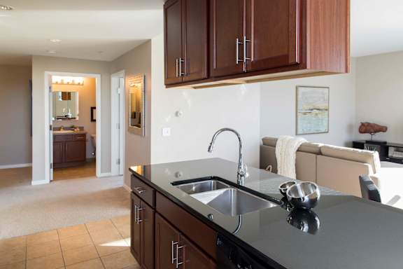 Single Basin Sinks Big Enough For All Of Your Cooking Needs