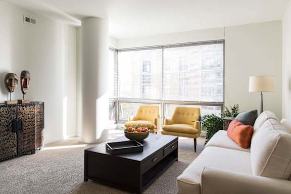 fully furnished designer interior living room with natural light provided by the large windows