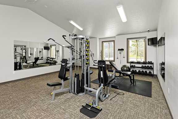 A well-equipped gym with a variety of machines and weights.