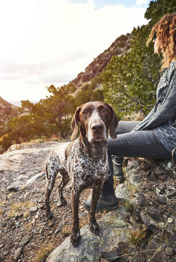 a black and white photo of a person petting a dog