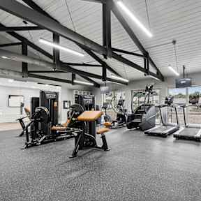 A gym with treadmills, weights, and exercise equipment.