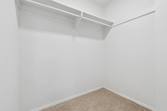 A white wall with a shelf above a carpeted floor.