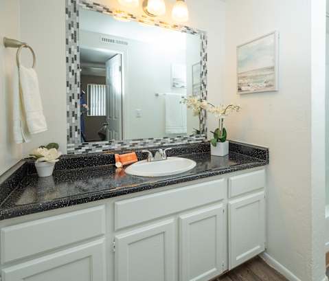 a bathroom with a sink and a mirror and a shower