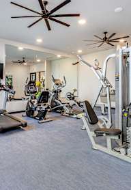 A gym with treadmills, elliptical machines, and other exercise equipment.