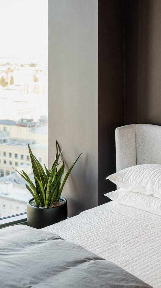 A bed with white pillows and a white bedspread sits next to a window with a potted plant on the windowsill.