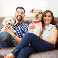 Family With Puppy at Belle Creek Apartments, Henderson, CO, Colorado