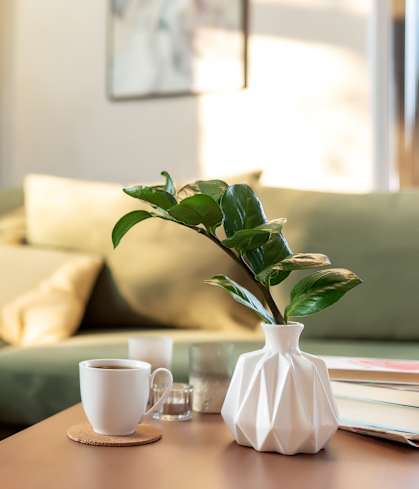 A white vase with a green plant sits on a table in front of a couch at Lawndale Farms, Sandston, VA, 23150