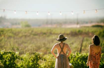 Vineyard near North Pointe Apartments in Vacaville, CA 