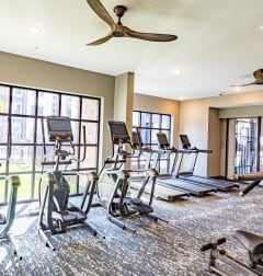 a gym with treadmills and other exercise equipment in a room with windows at The Louis Apartment Flats, Louisville, KY
