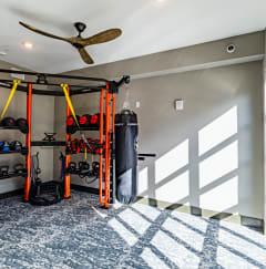 a fitness room with a wall of windows and a rack of fitness equipment at The Louis Apartment Flats, Louisville, KY