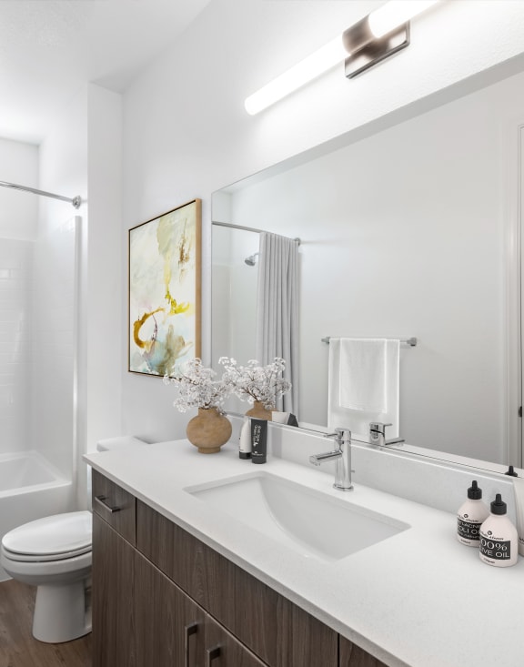 a bathroom with a shower and a sink and a mirror
