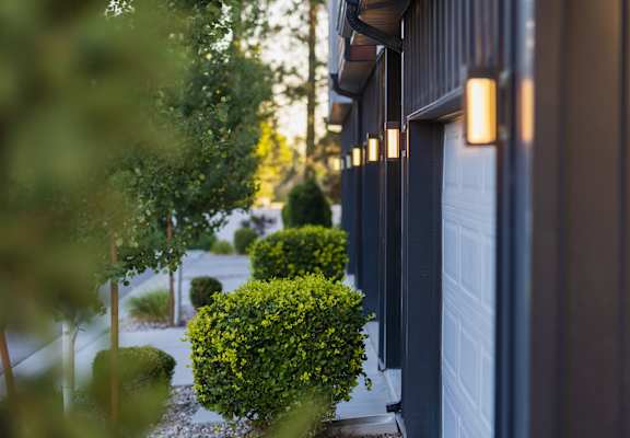 A row of bushes are in front of a building.