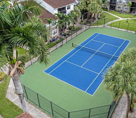 a blue tennis court surrounded by palm trees