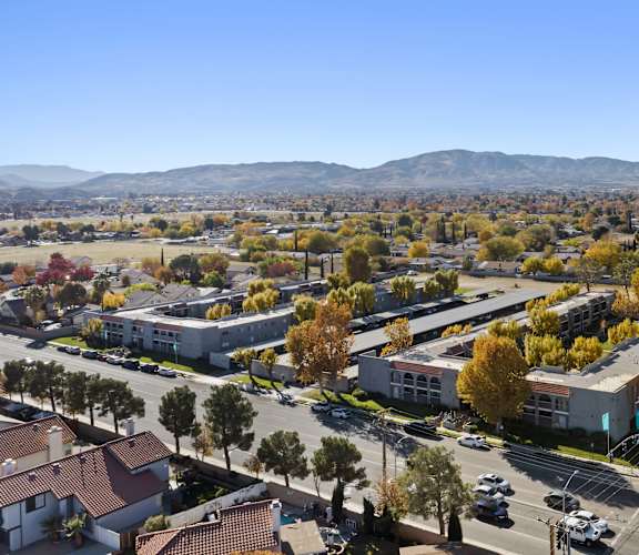 A city street with cars and buildings with trees in the background.