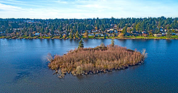 A small island in the middle of a lake with a forest in the background.