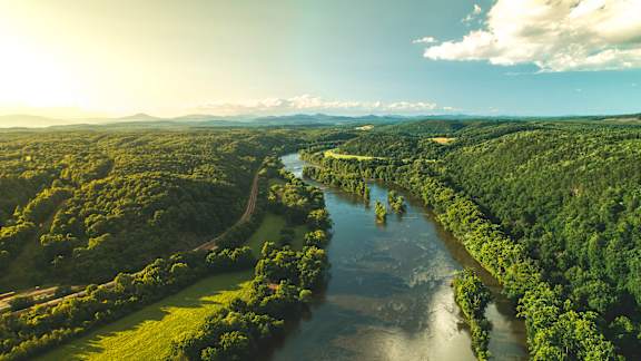A river flows through a lush green forest.