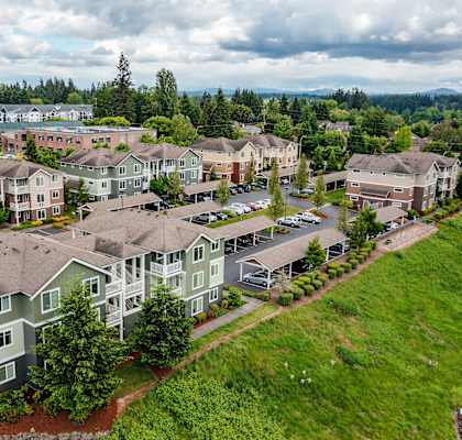an aerial view of a neighborhood with houses and trees