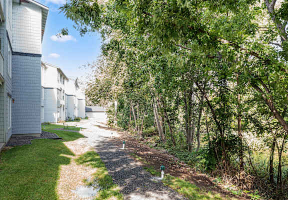 A pathway in a residential area with trees on both sides.