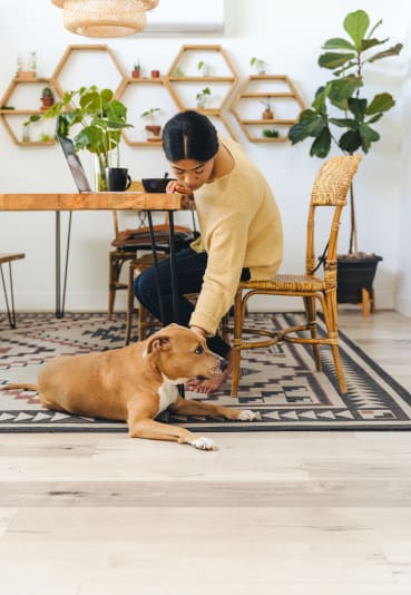 a woman is petting her dog on the floor
