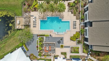 arial view of a swimming pool in a backyard with palm trees