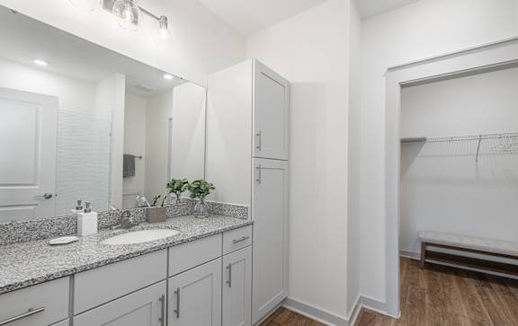 bathroom with granite countertops and walk in closets