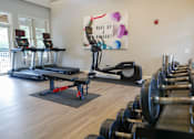 Thumbnail 4 of 49 - free weights and machines in gym