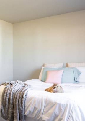 a bedroom with a bed and a cat laying on top of it