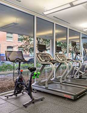 A gym with treadmills, exercise bikes, and other equipment.