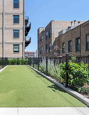A long, narrow, green lawn separates two buildings.