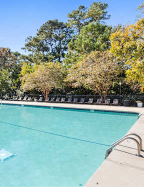 A large outdoor swimming pool surrounded by trees.