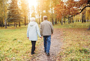 An elderly couple walking hand in hand in a park.