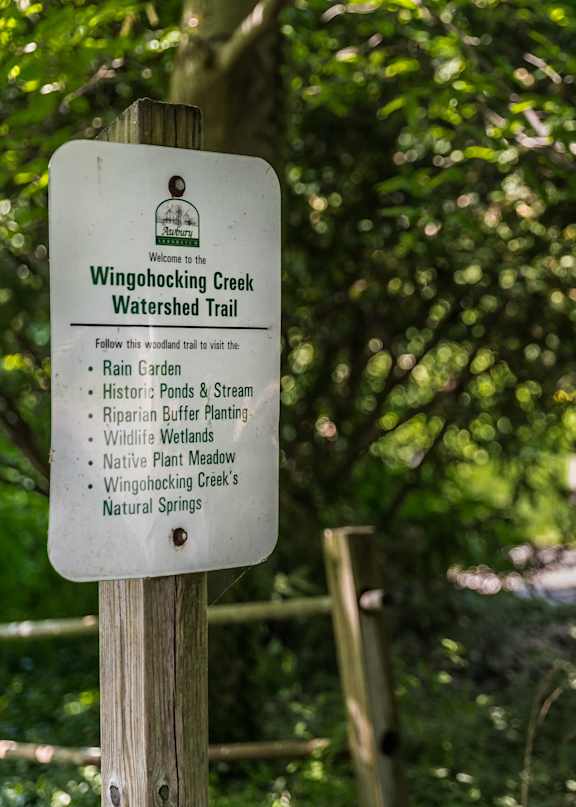 A sign for Wingocking Creek Watershed Trail is surrounded by greenery.