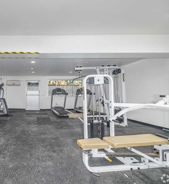 A gym with a variety of equipment including treadmills, stationary bikes, and weight machines.