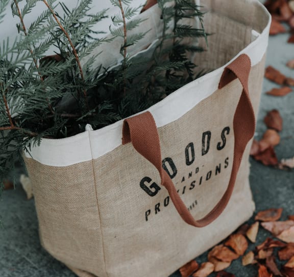 a bag with a christmas tree in it