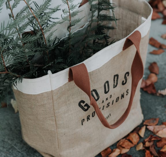a bag with a plant in it