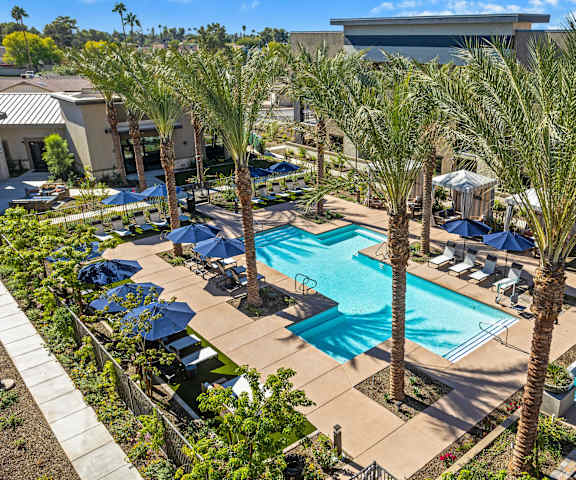 The turquoise outdoor pool surrounded by palm trees with pool chairs, tables, chairs, and the jacuzzi with the apartments in the background at Reflect at Dobson Ranch Apartment Homes. 