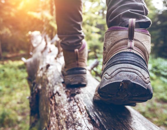 a person walking on a log in the woods at Rivulet, Silverdale Washington