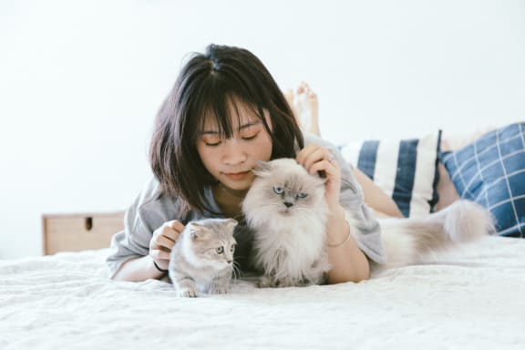 a girl laying on a bed with two kittens at Abby Creek Apartments, Carmichael, 95608