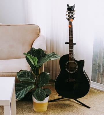 Couch with black guitar and plants