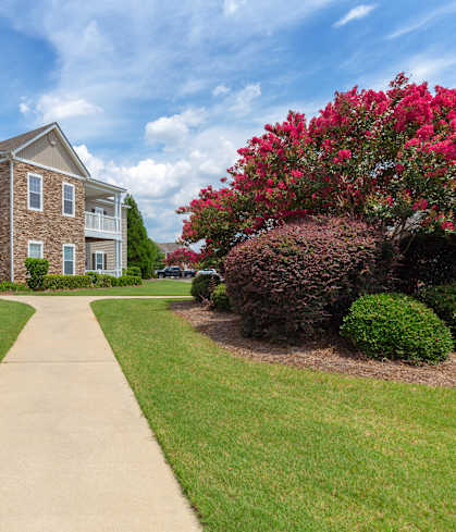 a sidewalk leading to an apartment building with a flowering tree at Bedford Parke Apartments in Warner Robins, 31088
