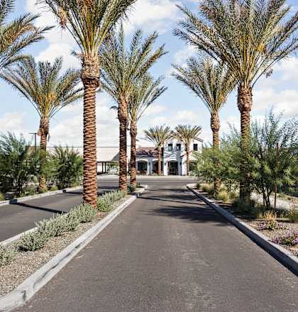 A street lined with palm trees and houses on the side.