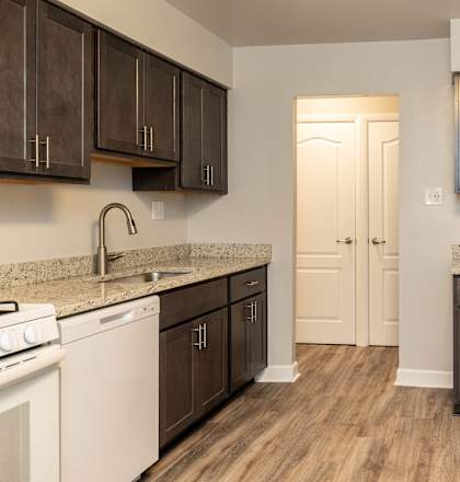 the enclave at homecoming terra vista kitchen