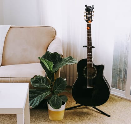 Couch with black guitar and plants