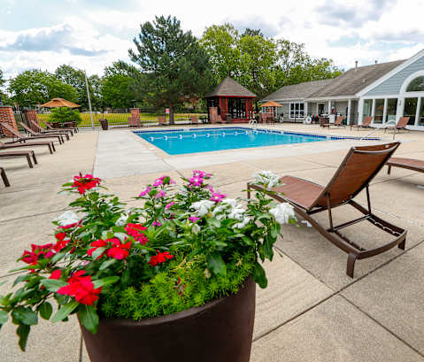 a swimming pool with chairs and flowers in front of a building