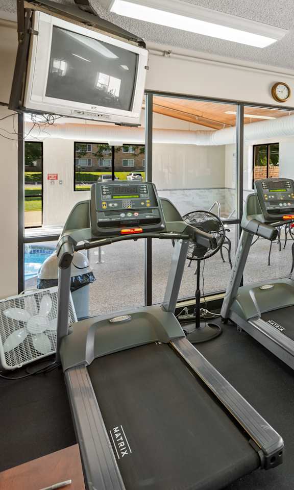 A gym with treadmills, exercise bikes, and other equipment.